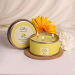 Citrus and Sage Fragrance Candle