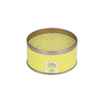 Citrus and Sage Fragrance Candle